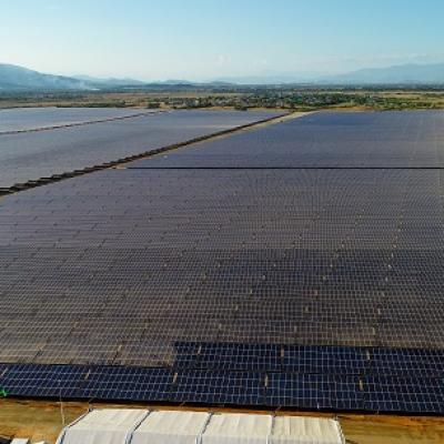 Dự án điện mặt trời 330MW tại Ninh Thuận lên báo quốc tế